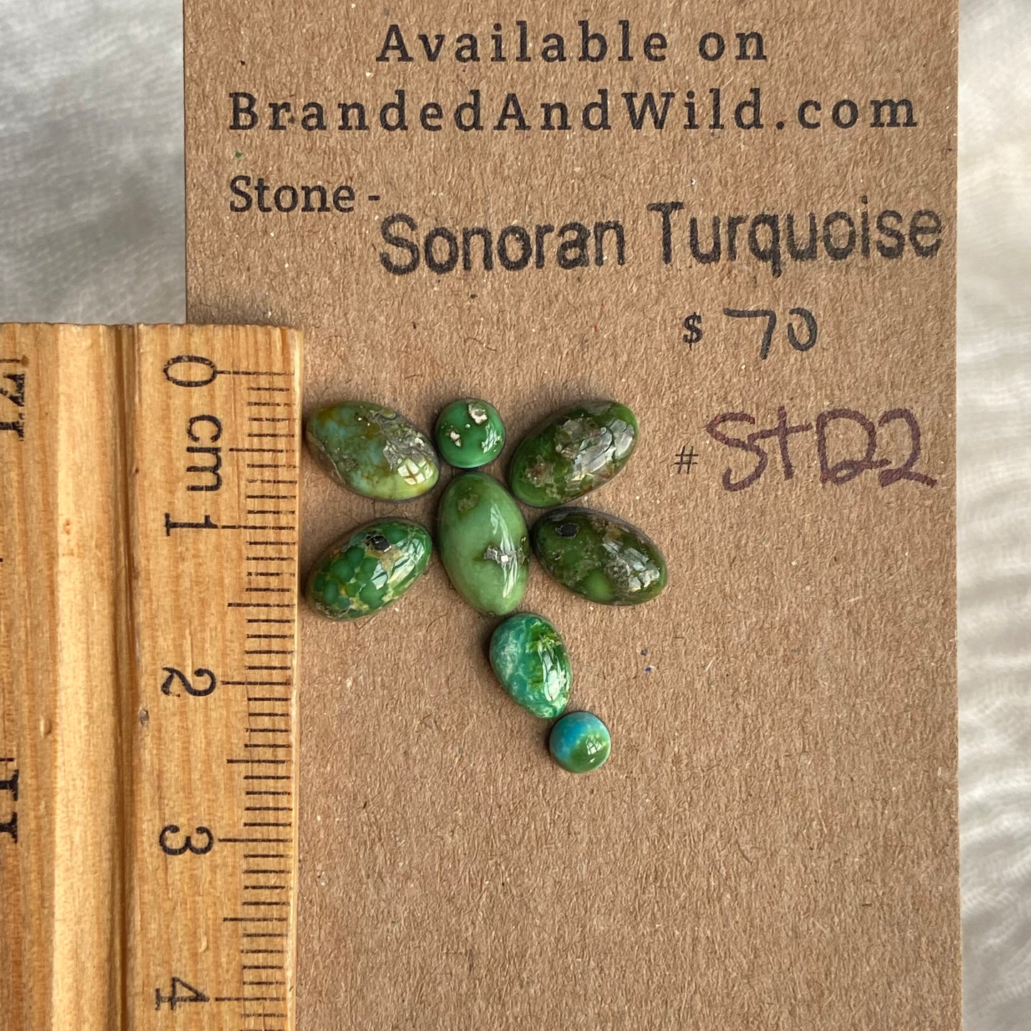 Sonoran Turquoise Cabochon - ST122