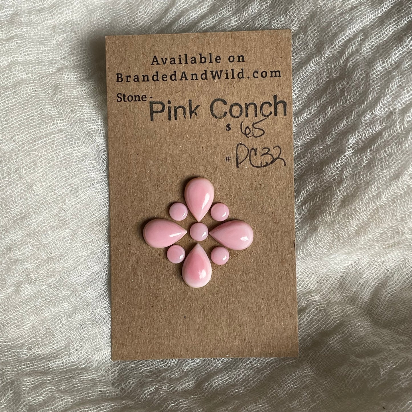 Pink Conch Cabochon - PC32