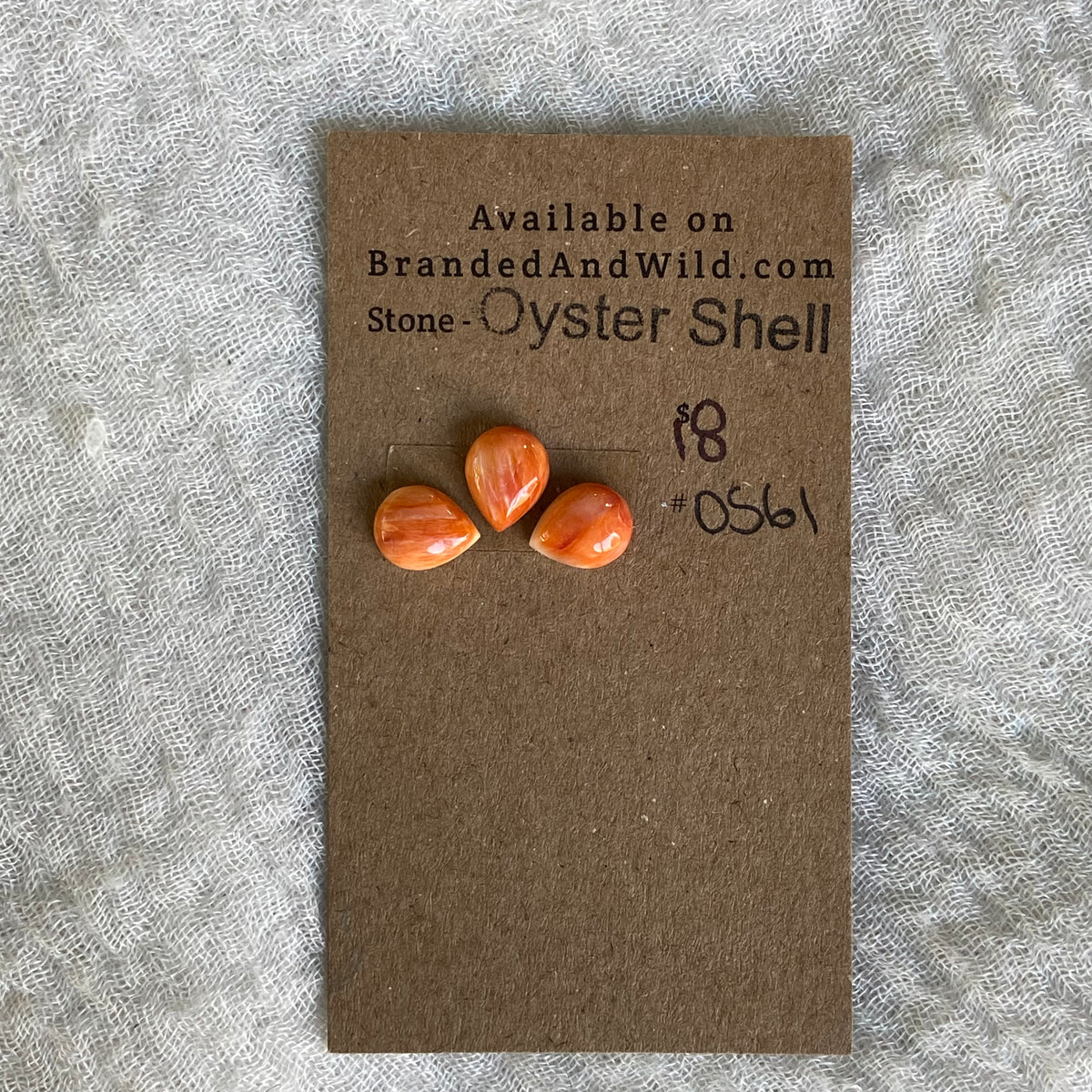 Oyster Shell Cabochon - OS61