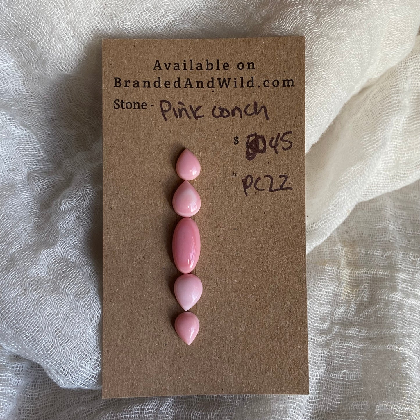 Pink Conch Cabochon - PC22