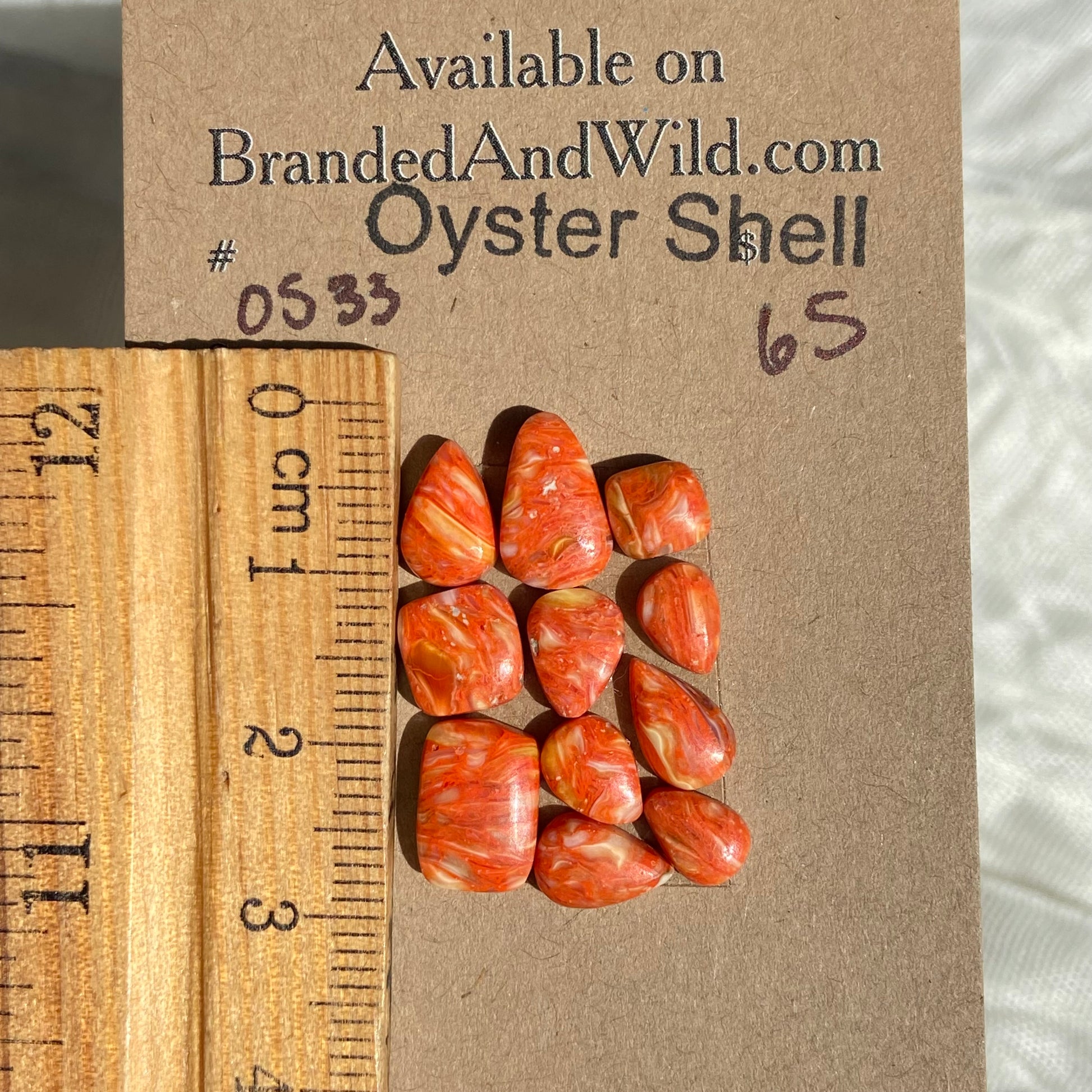 Oystershell Cabochon - OS33 200A9C8E-434B-4F6E-9B3E-31CA727F0726 Brandedandwild.com