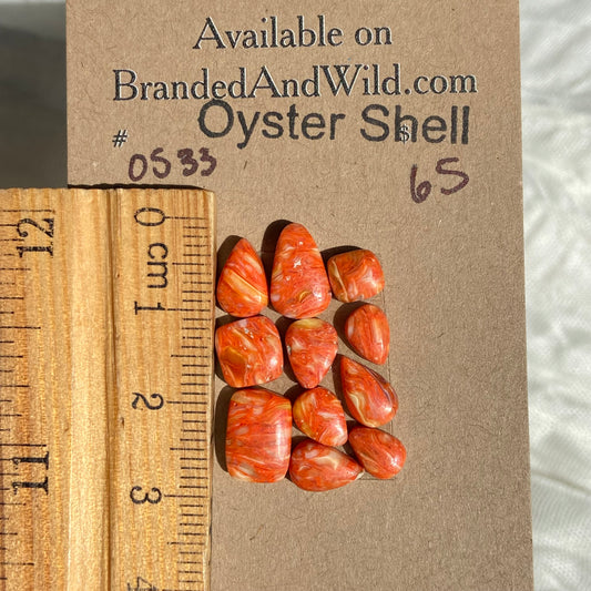 Oystershell Cabochon - OS33 200A9C8E-434B-4F6E-9B3E-31CA727F0726 Brandedandwild.com