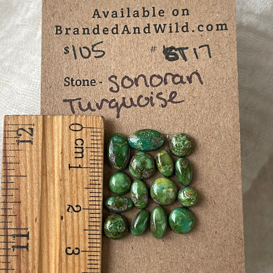 Sonoran Turquoise Cabochon - ST17 201F2839-37F2-4789-812E-5D1F1BAE8632 Brandedandwild.com