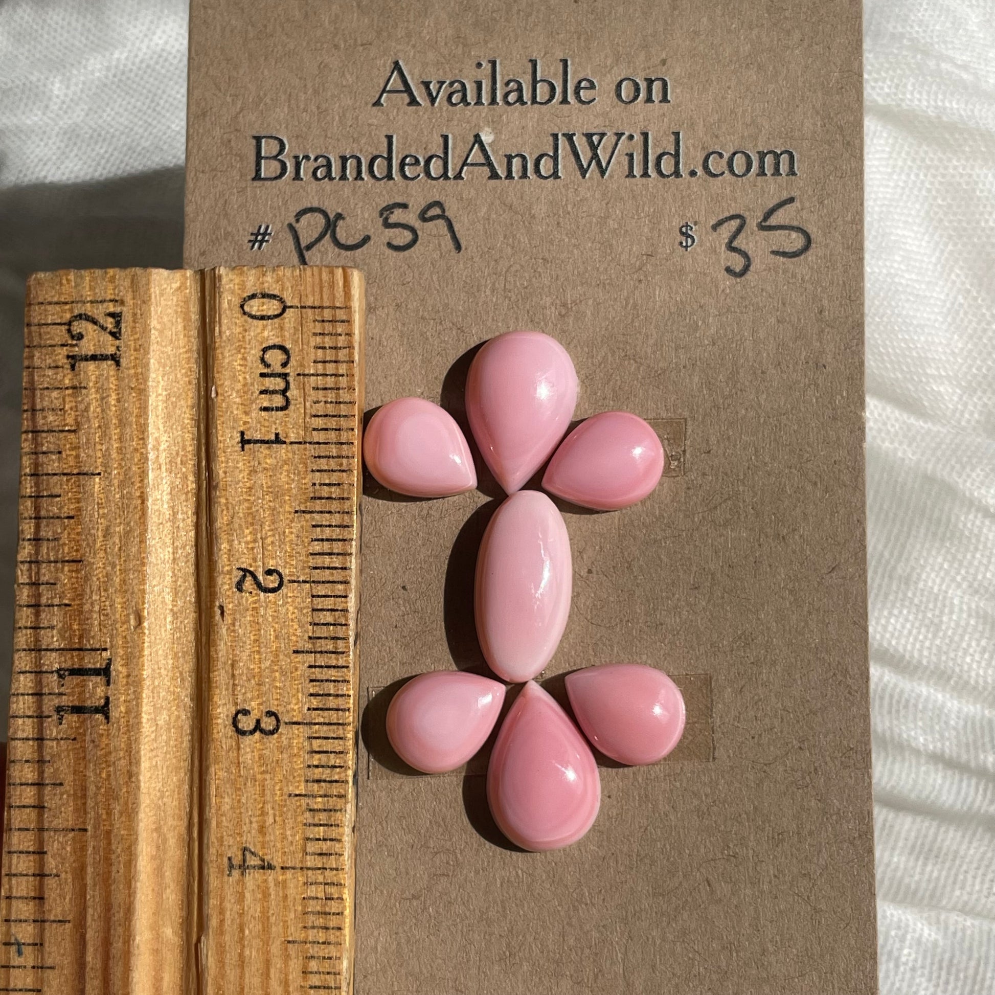 Pink Conch Cabochon - PC59 2021020A-7B20-413D-A0A9-E4C6EE138731 Brandedandwild.com