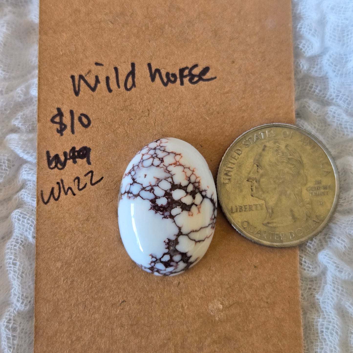 Wild Horse Turquoise Cabochon - Wh22