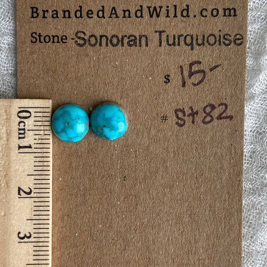 Sonoran Turquoise Cabochon - ST82