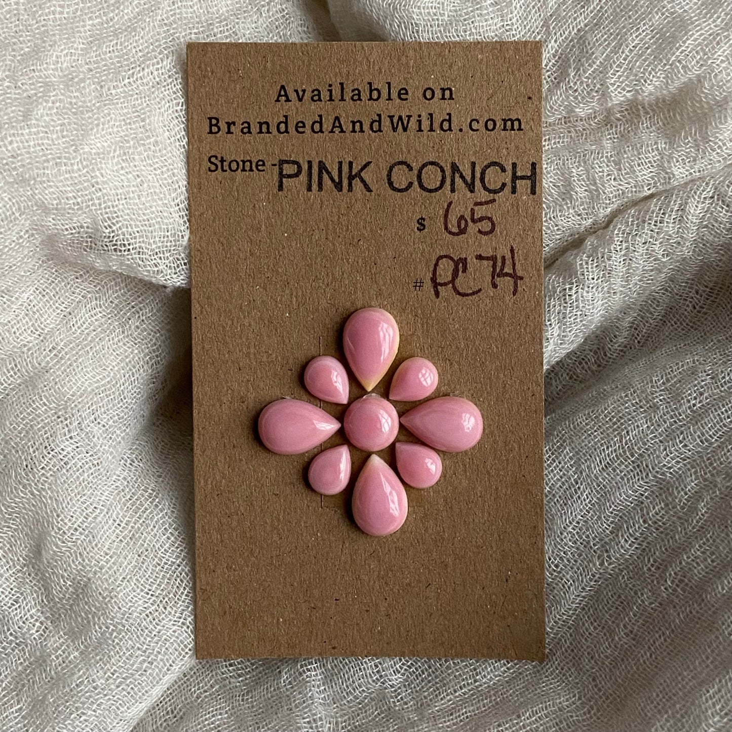 Pink Conch Cabochon - PC74