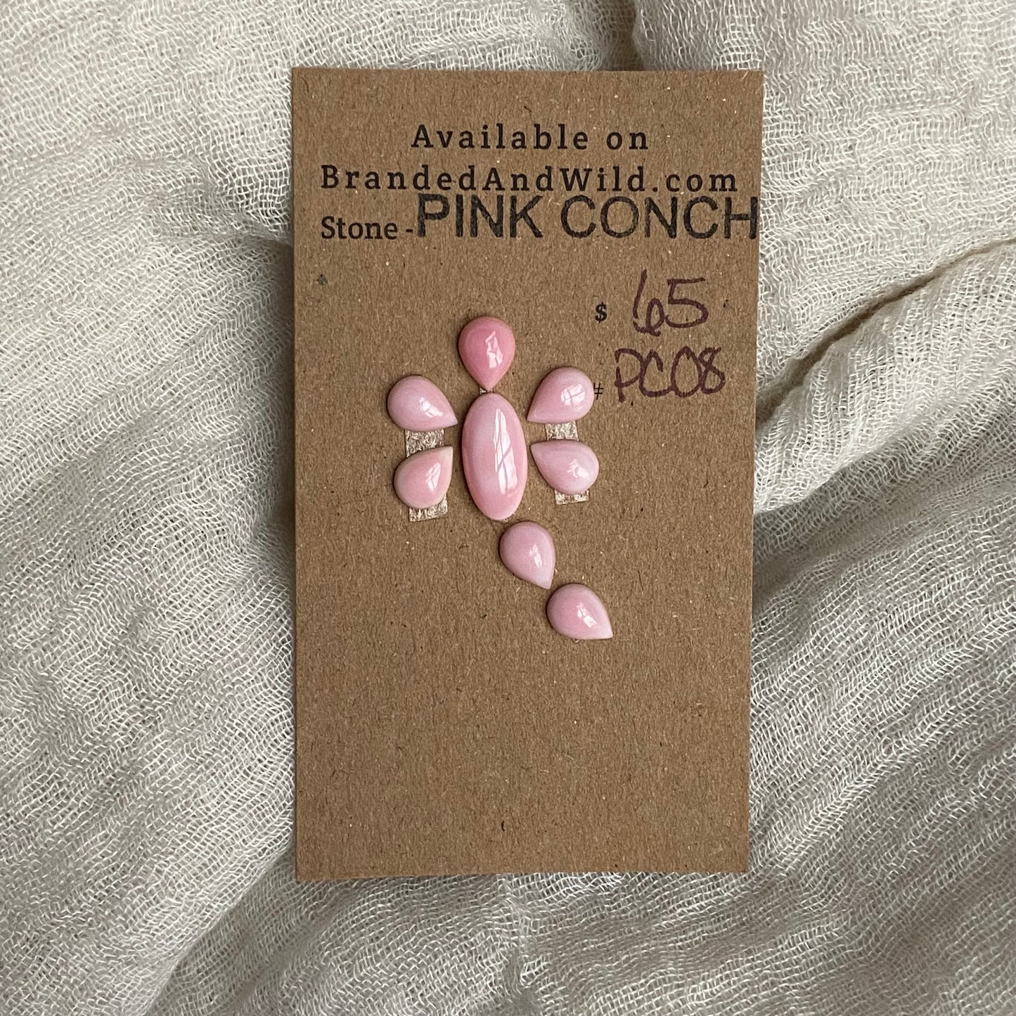 Pink Conch Cabochon - PC08