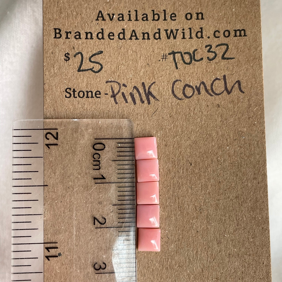 Pink Conch Cabochon - PC32 2070CEBD-D50A-4199-A719-3141849222EC Brandedandwild.com