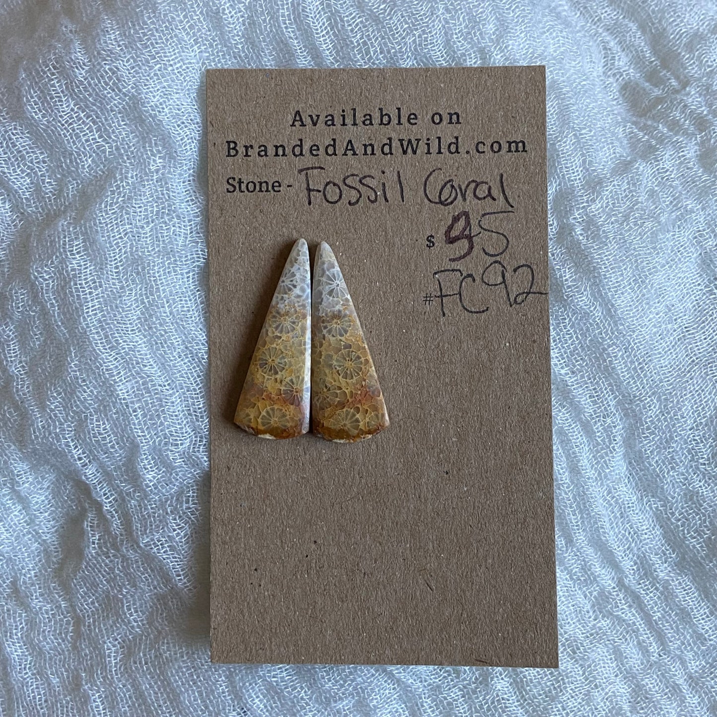 Fossil Coral Cabochon - FC92