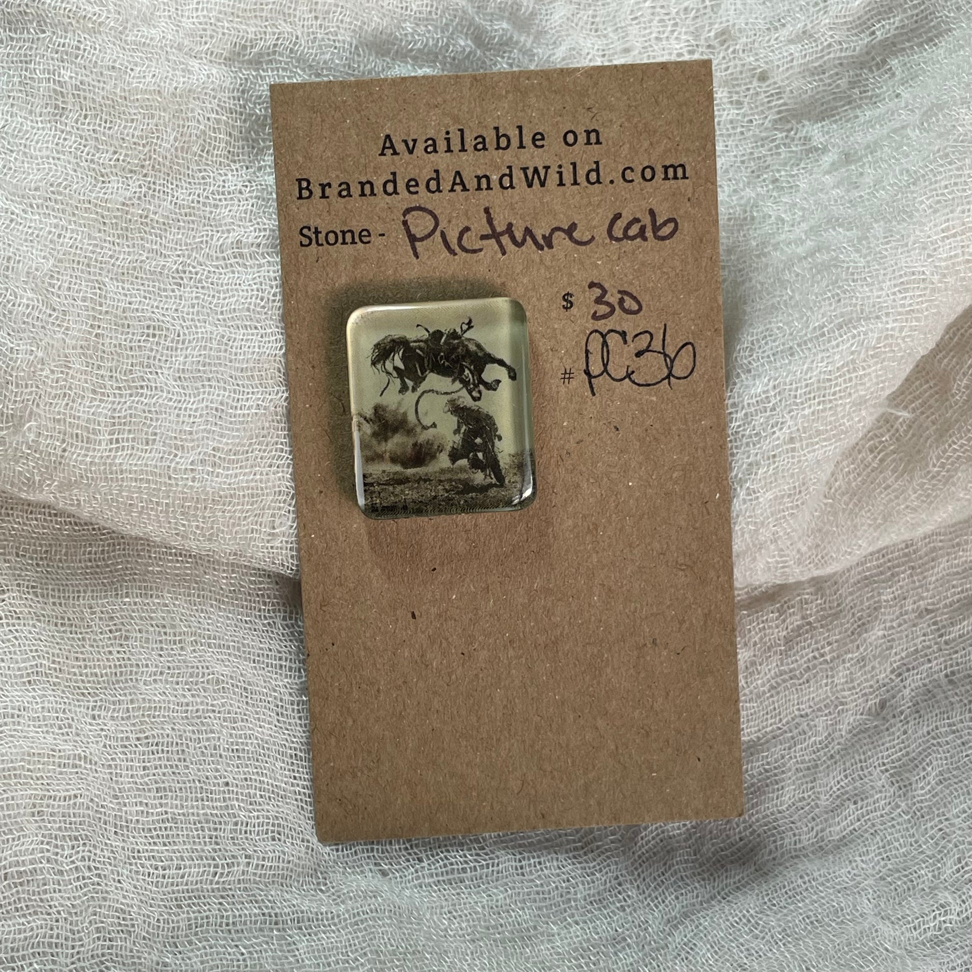 Picture Cabochon - Cabochon - PC36 20ABCBED-70A6-49CF-899E-84052704D7C6 Brandedandwild.com