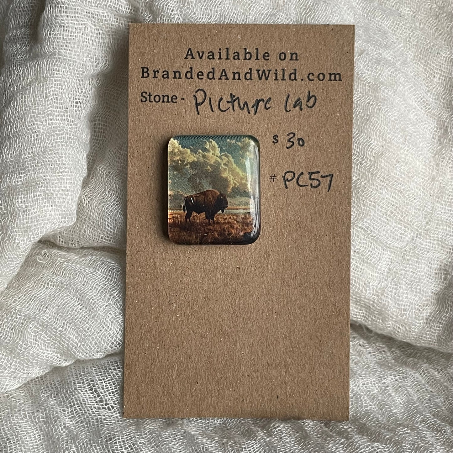 Picture Cabochon - Cabochon - PC57 20AE1E60-9F84-408B-AD89-CCA8C2F59F76 Brandedandwild.com