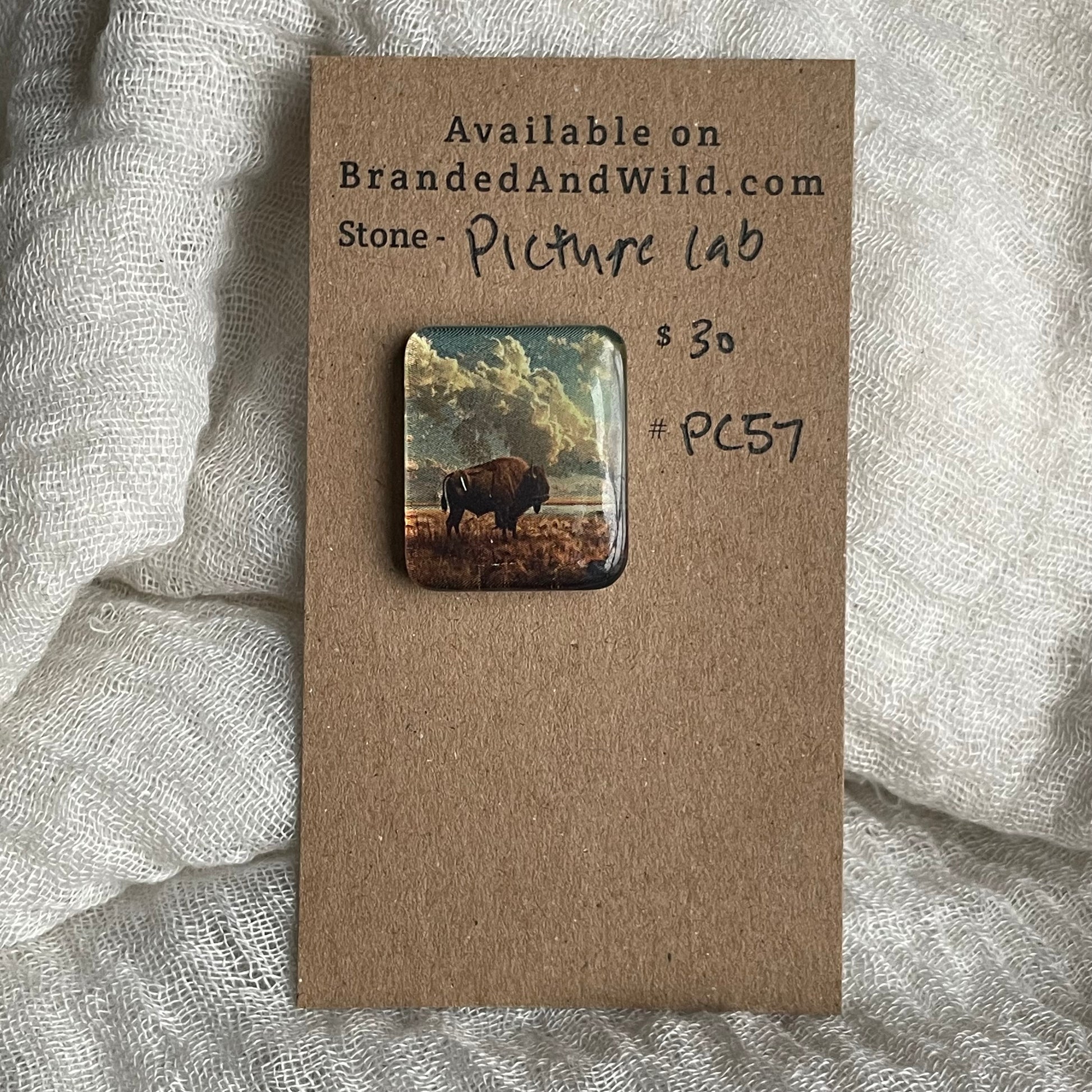 Picture Cabochon - Cabochon - PC57 20AE1E60-9F84-408B-AD89-CCA8C2F59F76 Brandedandwild.com