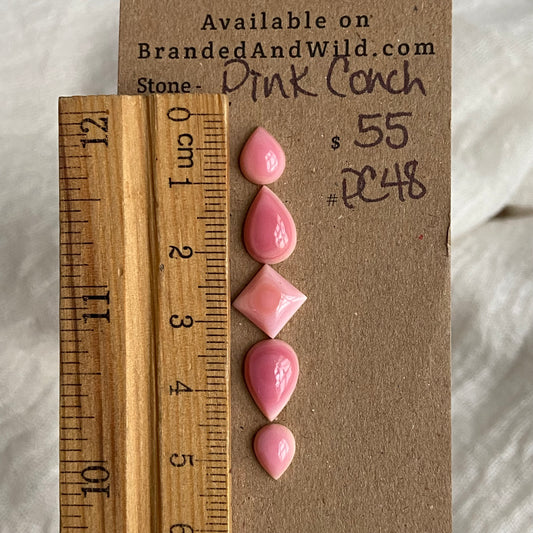 Pink Conch Cabochon - PC48