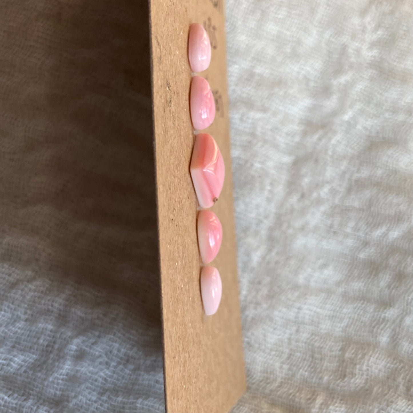 Pink Conch Cabochon - PC67