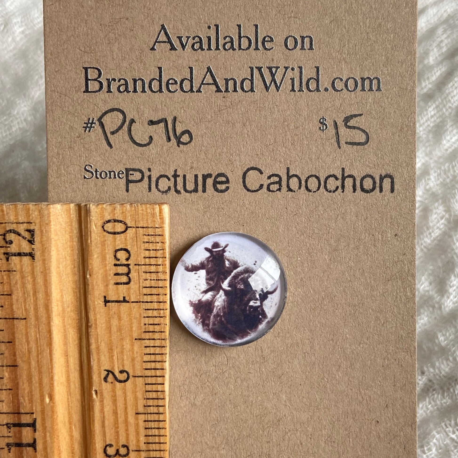 Picture Cabochon - Cabochon - PC76 20EB90BA-32F8-4F04-963F-115C28FD7411 Brandedandwild.com
