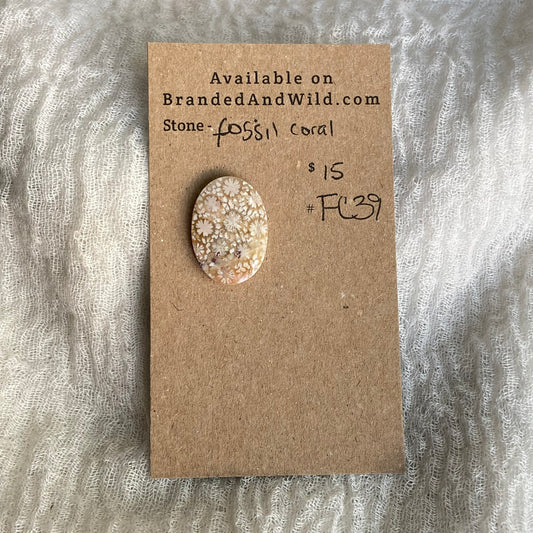 Fossil Coral Cabochon - FC39