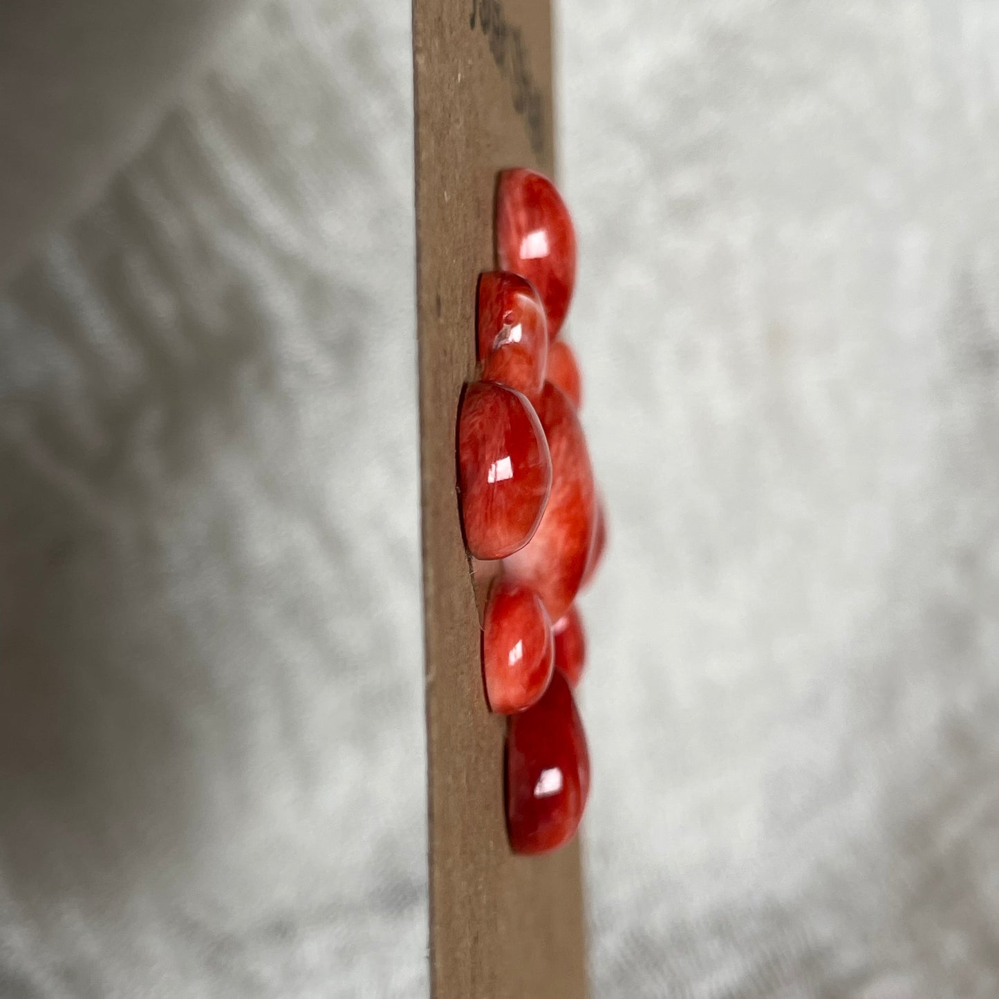 Oyster Shell Cabochon - OS69