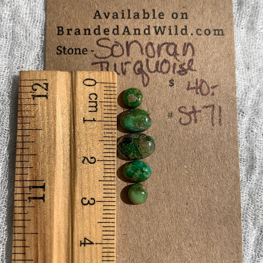 Sonoran Turquoise Cabochon - ST71