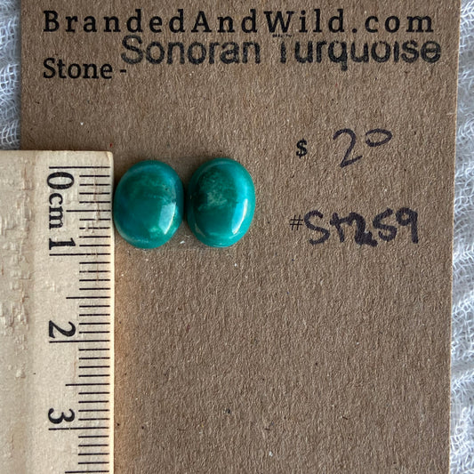 Sonoran Turquoise Cabochon - ST259