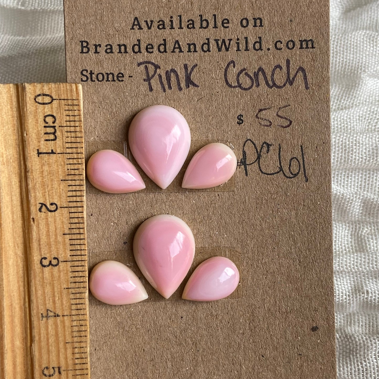 Pink Conch Cabochon - PC61 2182B03E-0F2C-43A7-BC48-C70AF8EA14E0 Brandedandwild.com