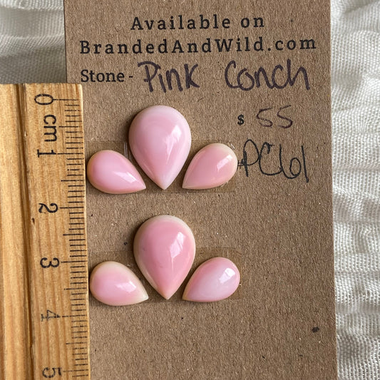 Pink Conch Cabochon - PC61 2182B03E-0F2C-43A7-BC48-C70AF8EA14E0 Brandedandwild.com