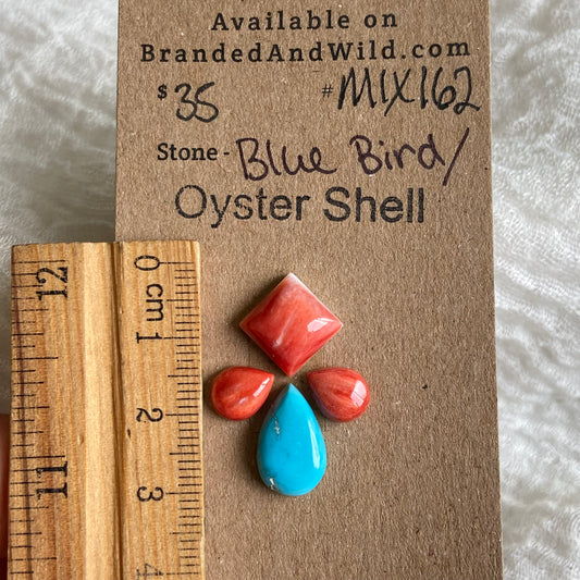 Oyster Shell / Blue Bird Cabochon - Mix162 21B08245-6F90-432C-8F72-20221CA660DA Brandedandwild.com