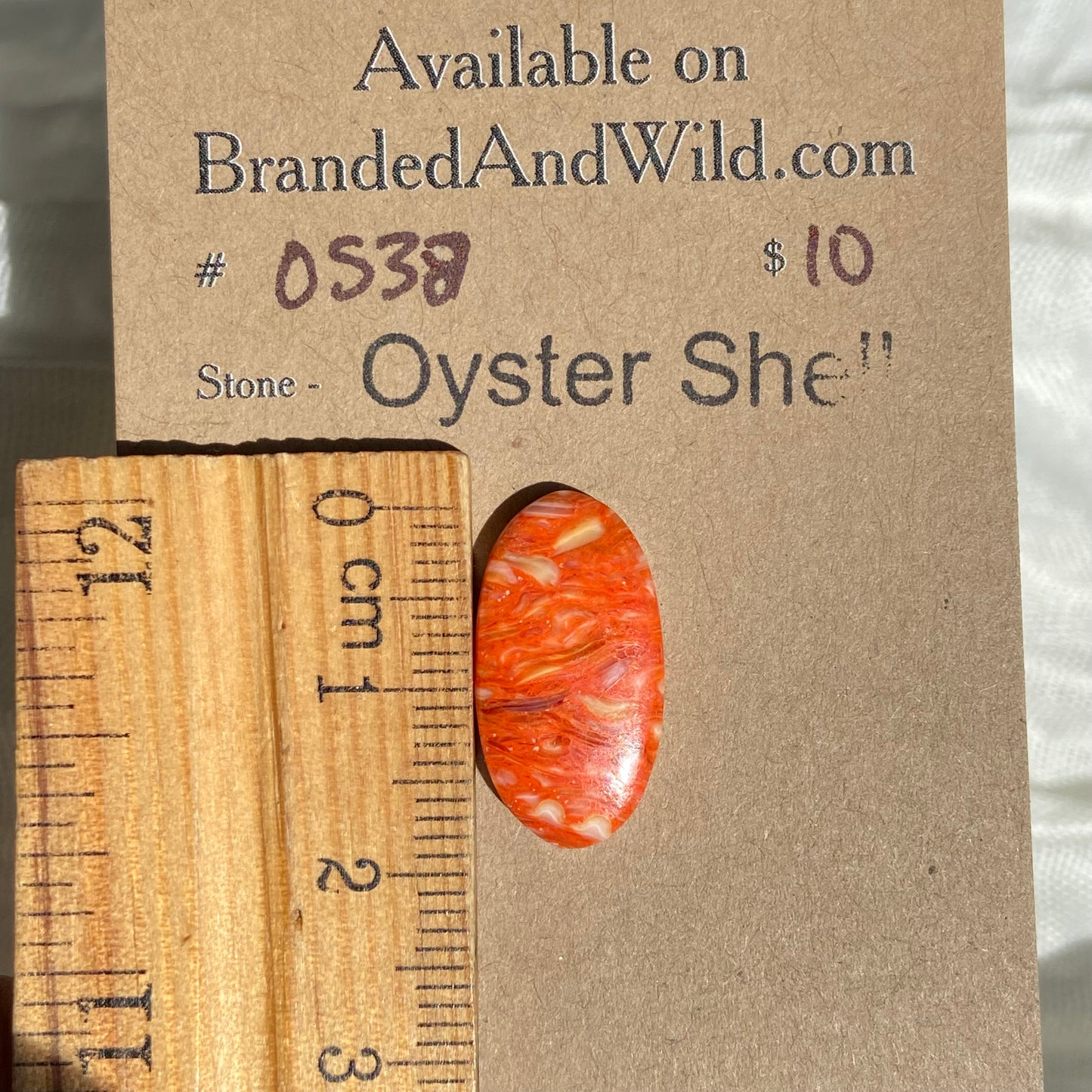 Oystershell Cabochon - OS38 21B2C9B4-3CAC-42AE-9722-68E7F61171D2 Brandedandwild.com