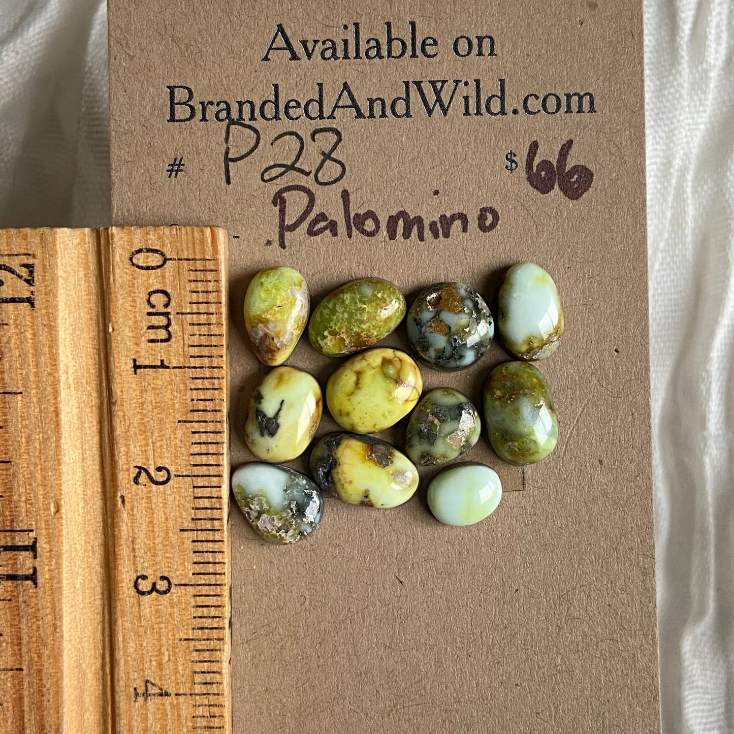 Palomino Cabochon - P28 21C62159-B2C6-4AE2-94E6-4608DE94FC1E Brandedandwild.com