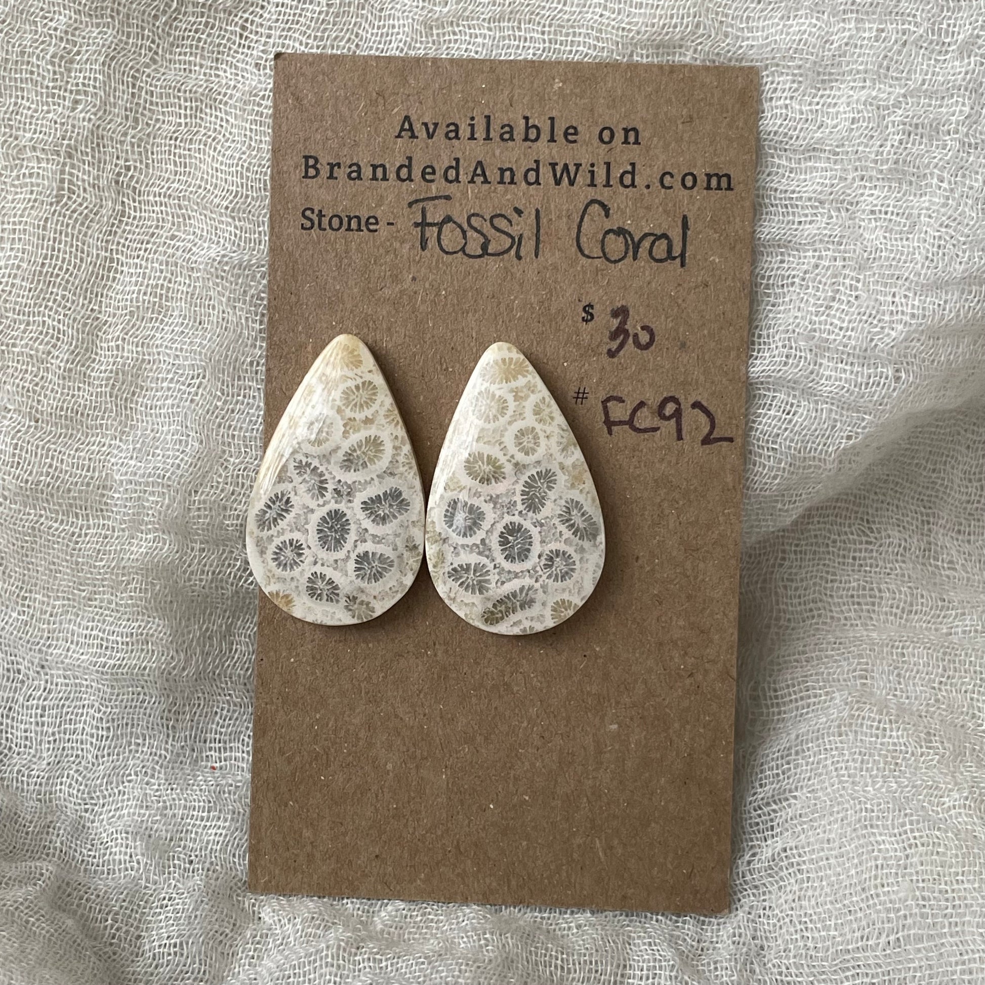 Fossil Coral Cabochon - FC92 21ED581F-2AEF-49BA-A412-6B1D9AE50E41 Brandedandwild.com