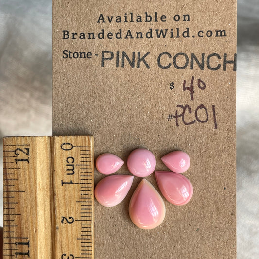 Pink Conch Cabochon - PC01