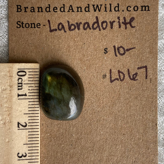 Labradorite Cabochon - L067
