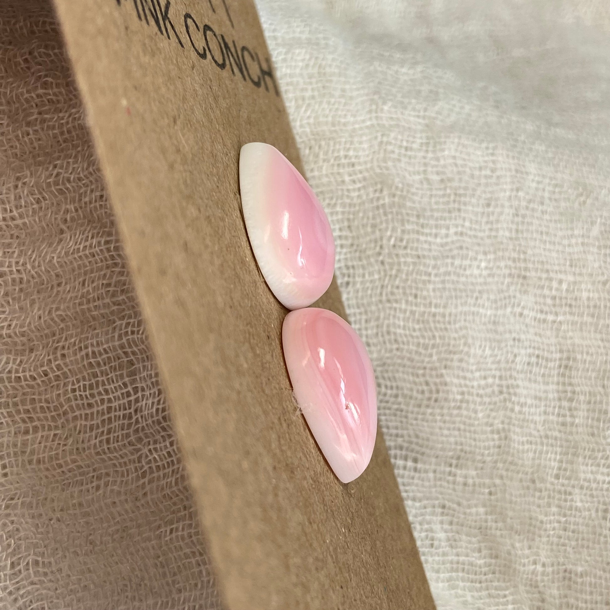 Pink Conch Cabochon - PC17 223EEF86-682D-4624-8025-83C21288910B Brandedandwild.com