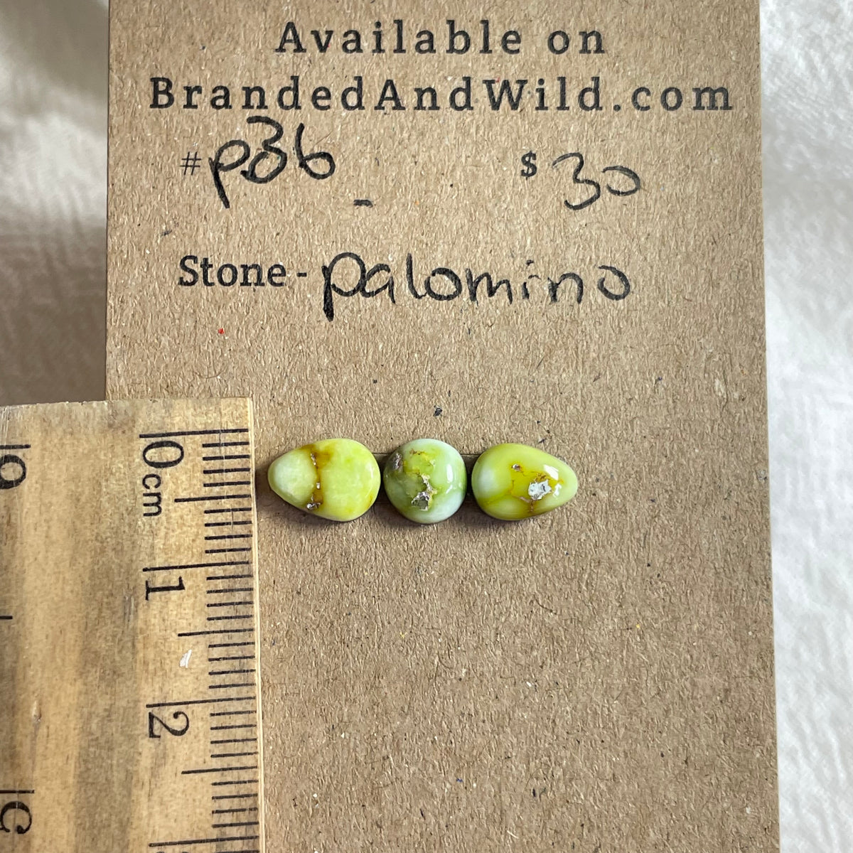 Palomino Cabochon - P36 22696221-5E11-4005-92CE-D061D85647D6 Brandedandwild.com