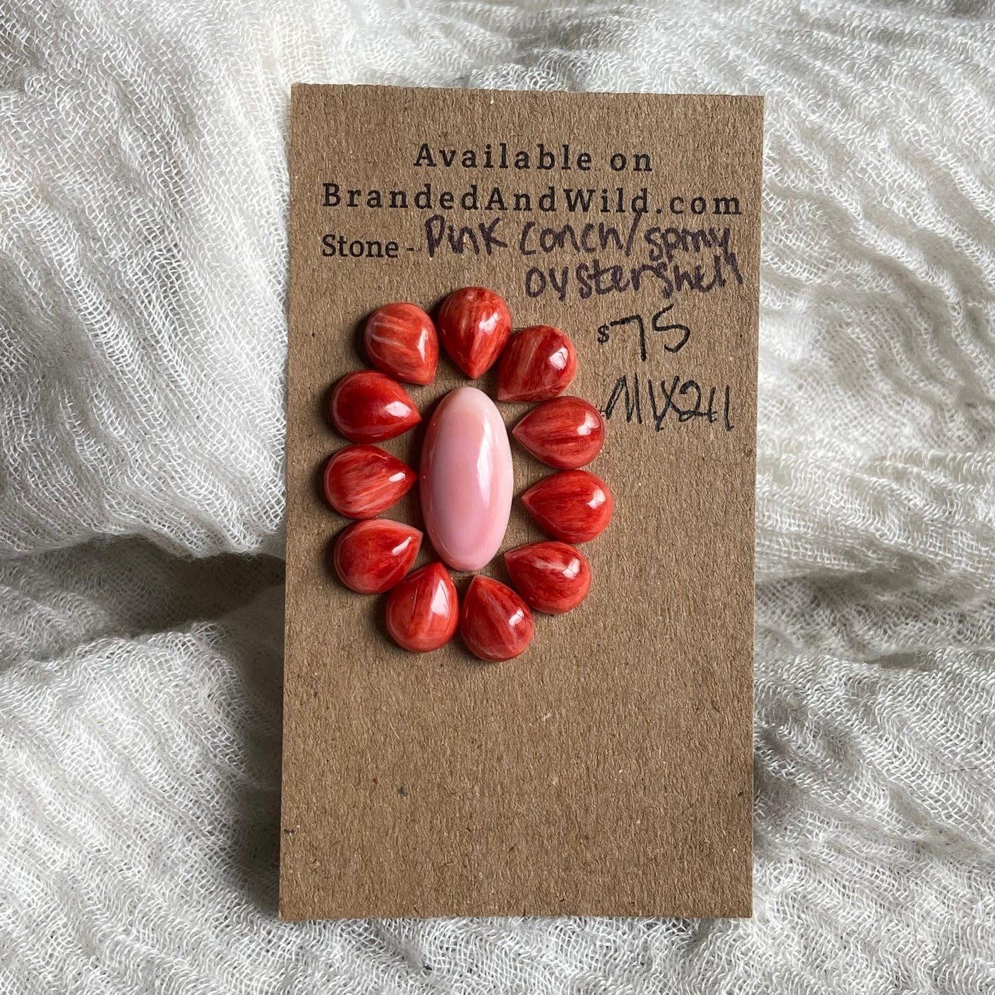 Oyster Shell / Pink Conch Cabochon - Mix211 228873E5-7EDB-4308-B5D9-5FDE22B13B69 Brandedandwild.com