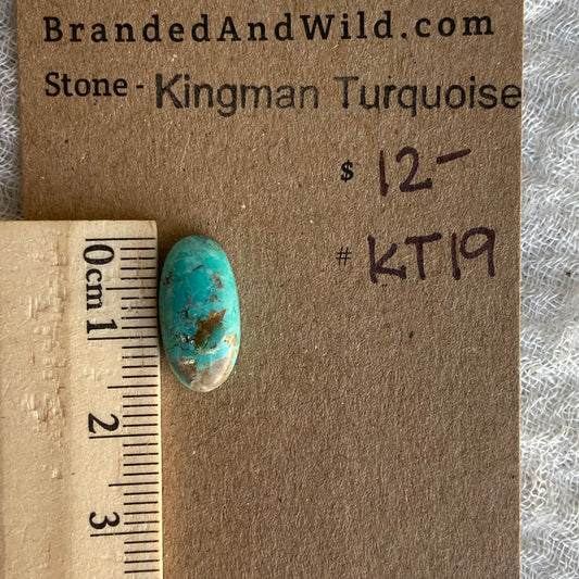 Kingman Turquoise Cabochon - KT19
