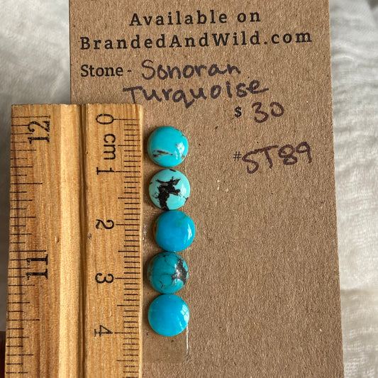 Sonoran Turquoise Cabochon - ST89