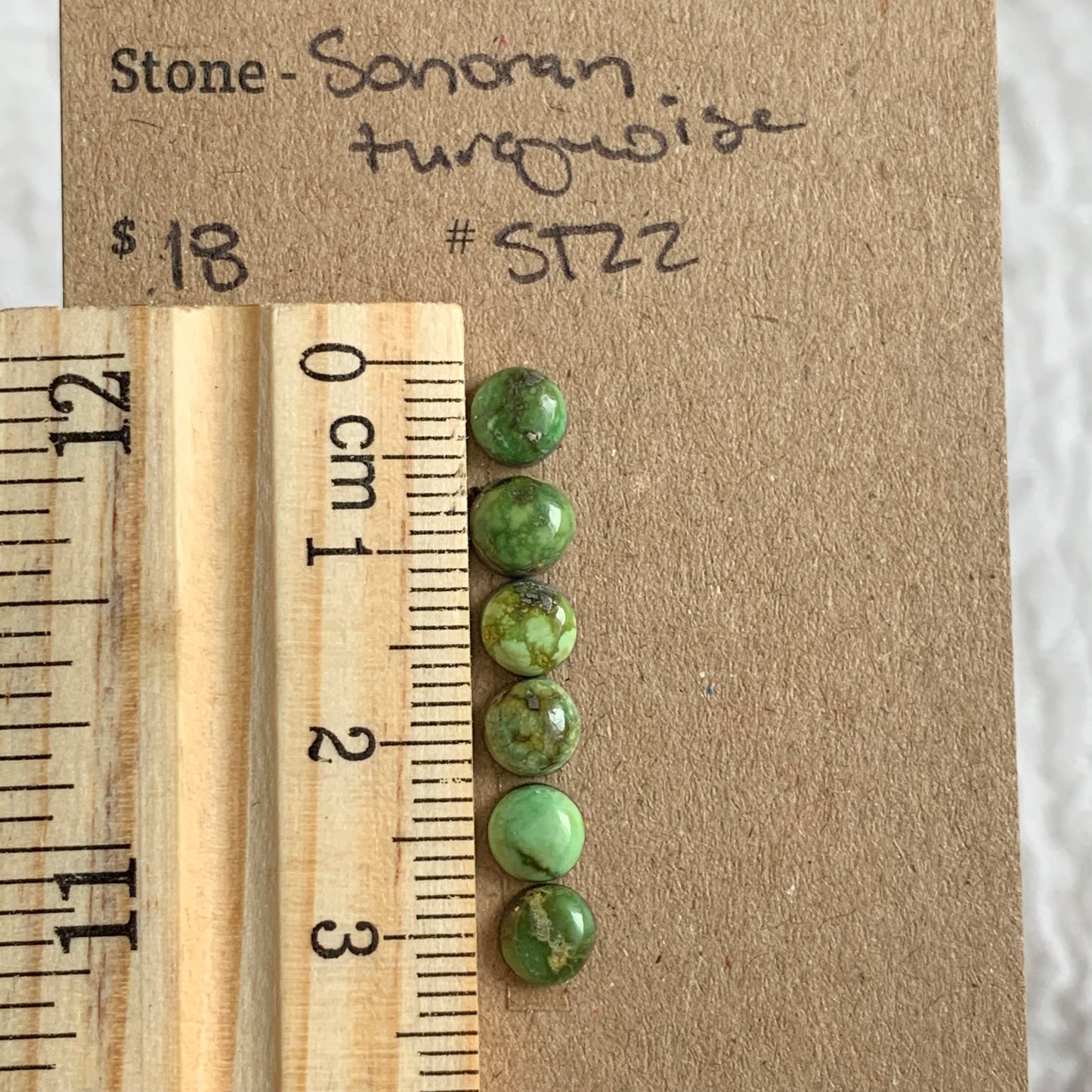 Sonoran Turquoise Cabochon - WH22