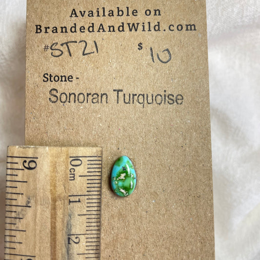 Sonoran Turquoise Cabochon - ST21 22A96F98-5716-4332-B503-693E90A38B21 Brandedandwild.com