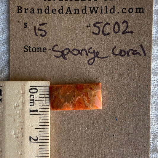 Sponge Coral Cabochon - SC02