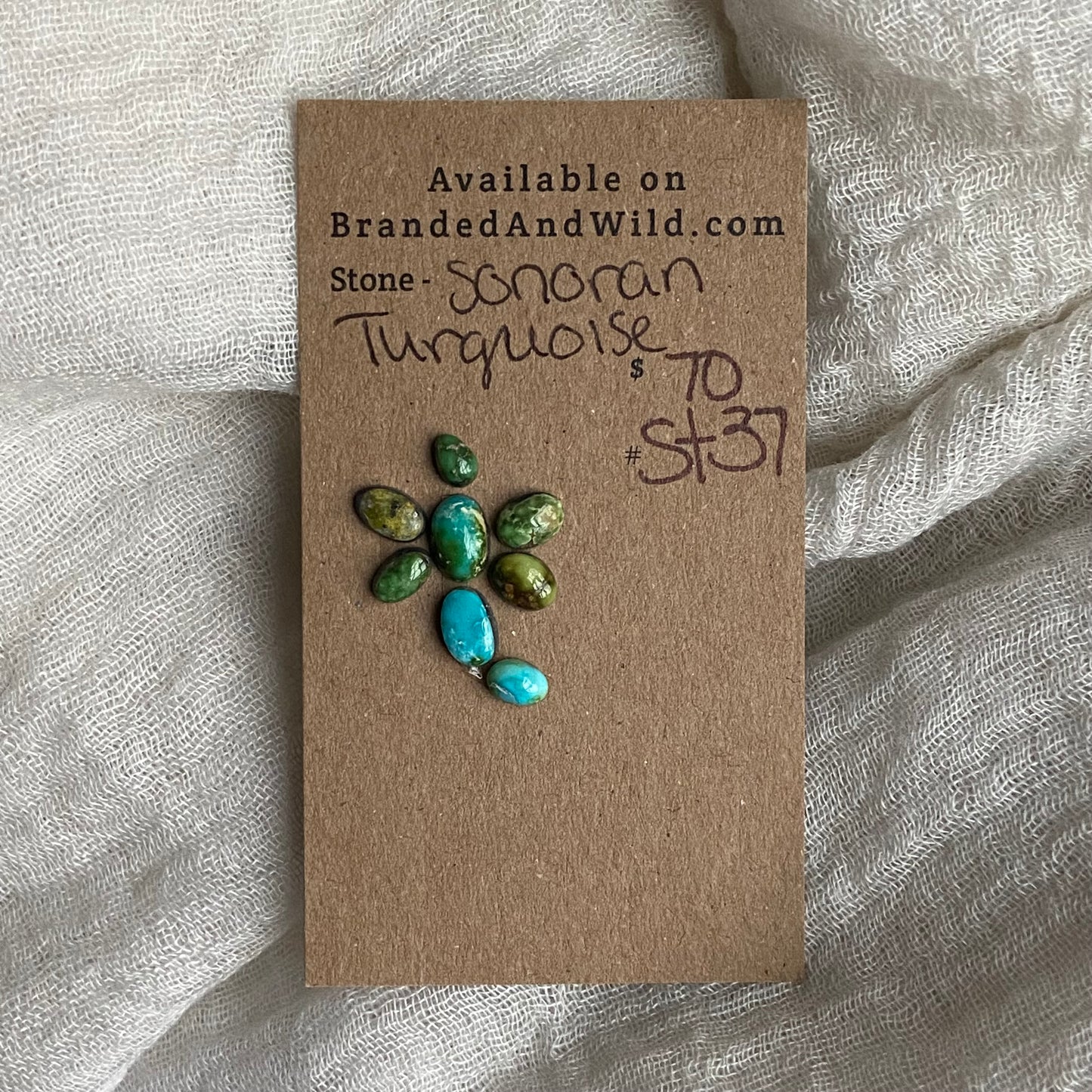 Sonoran Turquoise Cabochon - ST37