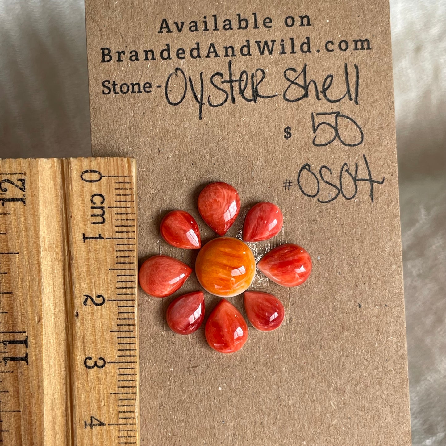 Oyster shell Cabochon - 0S04 22EE798A-0E82-49B0-8885-D0F23F07B03F Brandedandwild.com