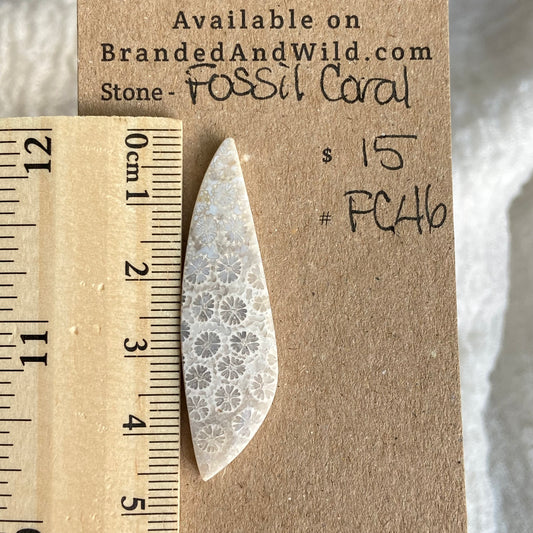 Fossil Coral Cabochon - FC46