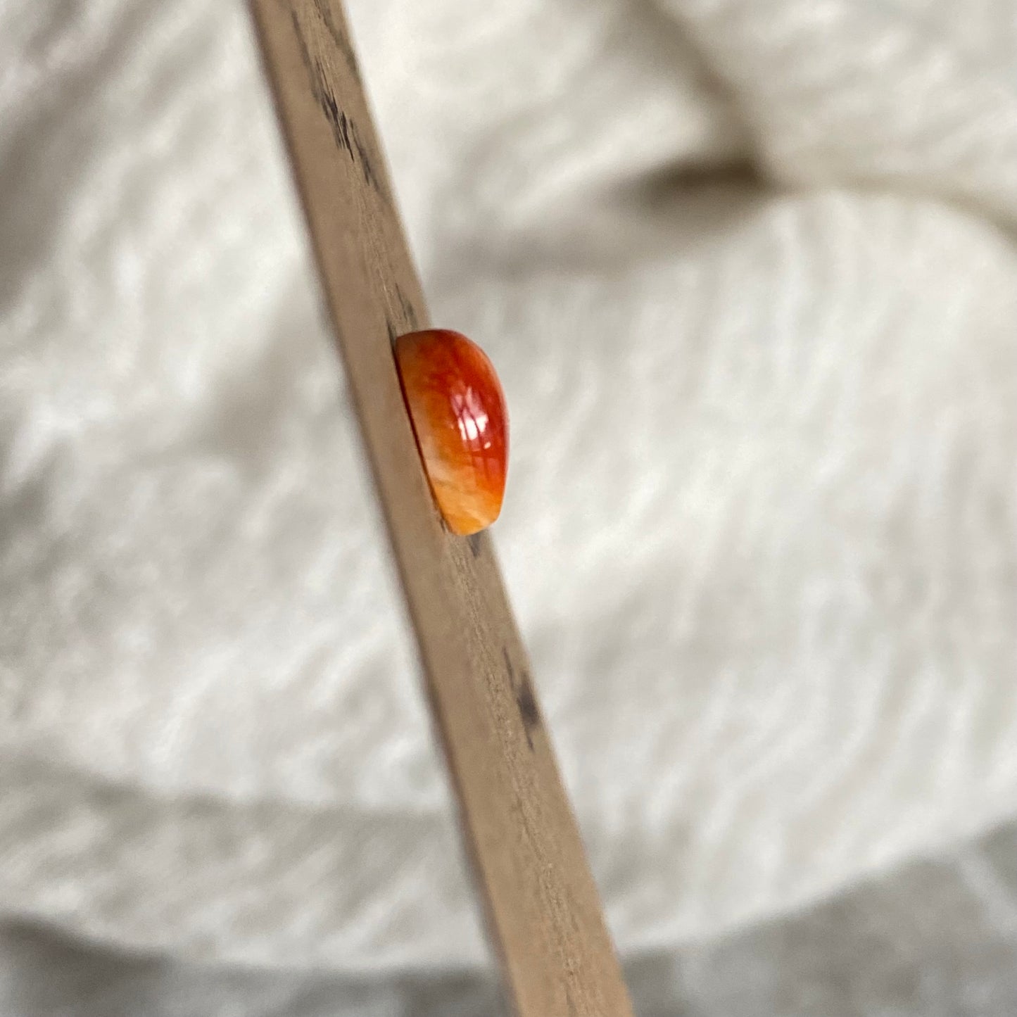 Oystershell Cabochon - OS04