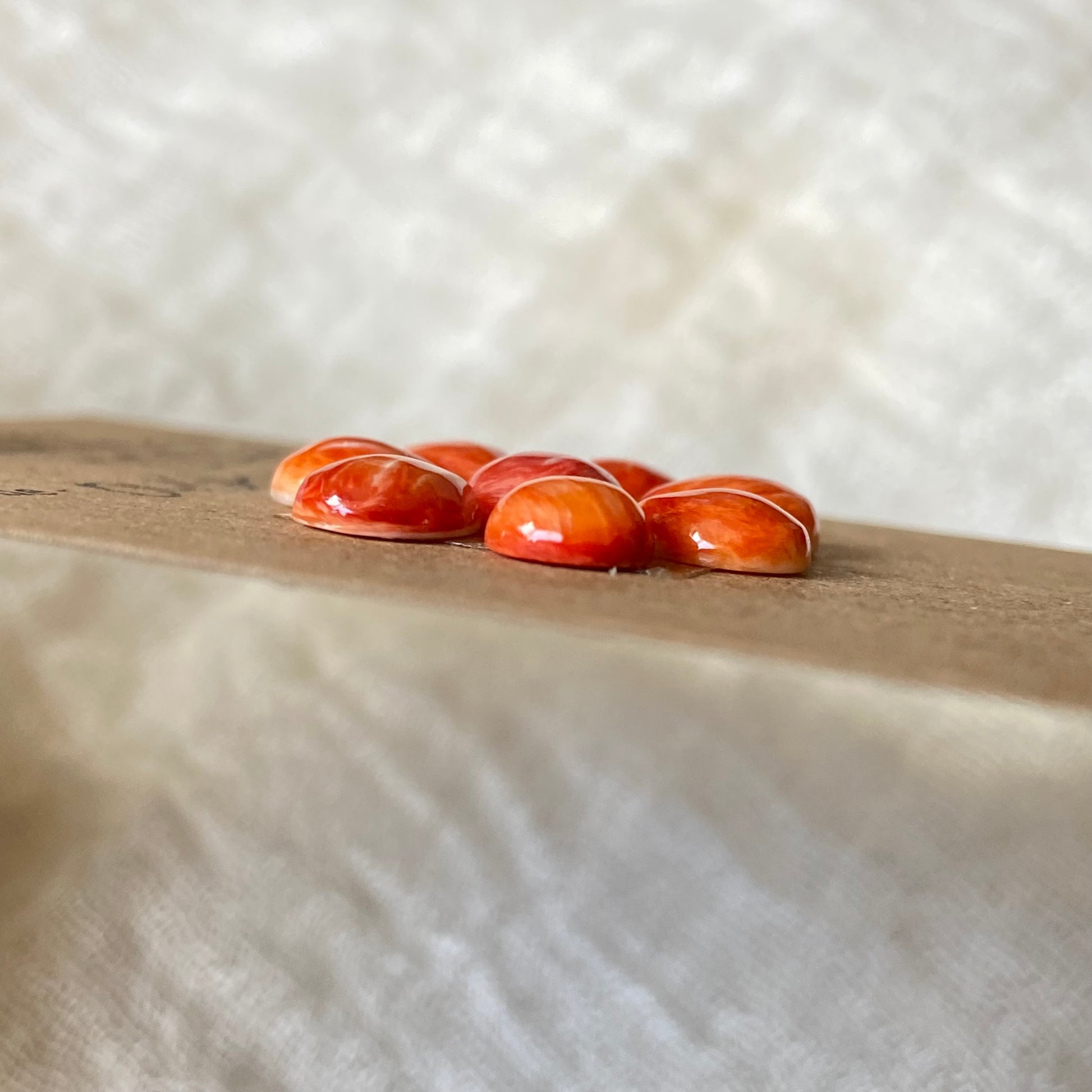 Oystershell Cabochon - OS69 2331F47C-CD67-4A2E-BDDC-1DEE4B2EB42D Brandedandwild.com