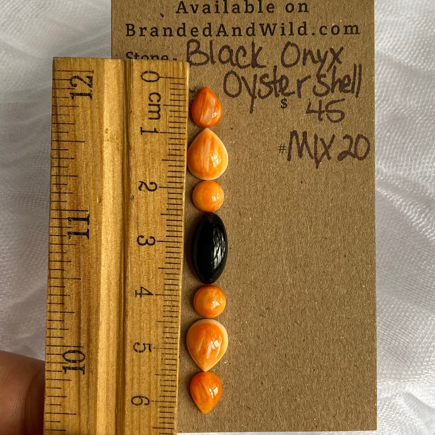 Oyster Shell / Black Onyx Cabochon - MIX20