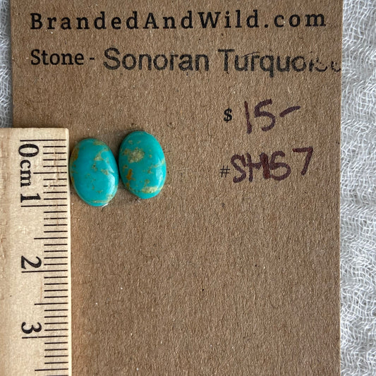 Sonoran Turquoise Cabochon - ST57