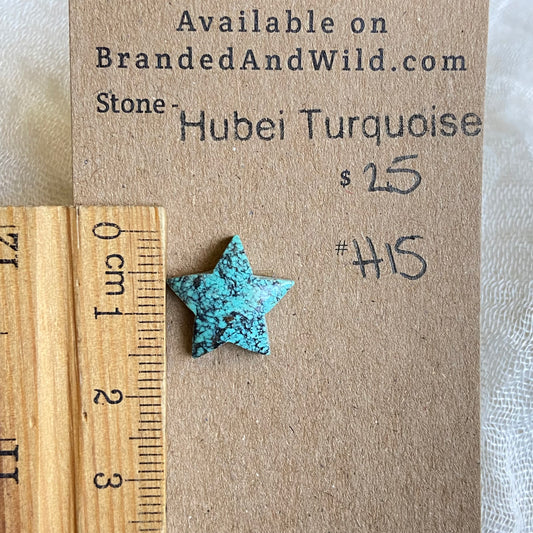 Hubei Turquoise Cabochon - H15 2378F731-1DB8-4035-86B9-D722FAEC9822 Brandedandwild.com