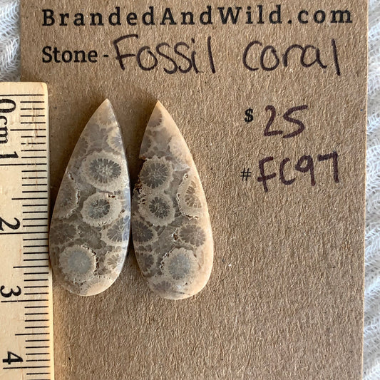 Fossil Coral Cabochon - FC97