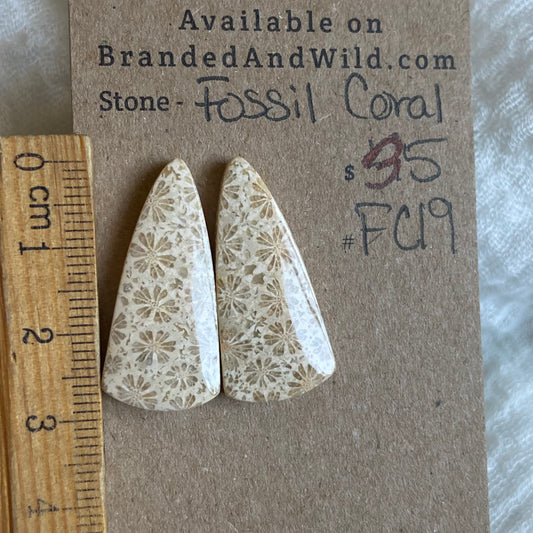 Fossil Coral Cabochon - FC19 23C7BEA8-2EF4-4D0B-8F71-8D6E3F2C1CAD Brandedandwild.com